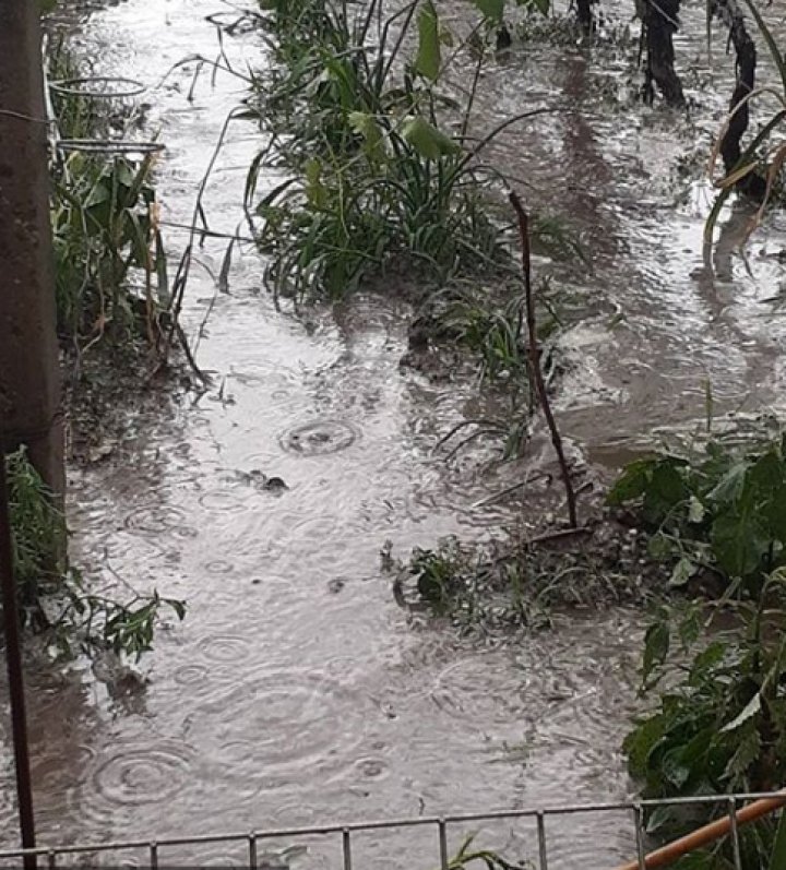 Furia naturii. O PLOAIE cu GRINDINĂ a făcut PRĂPĂD în sudul ţării (FOTO)