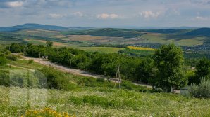 METEO 15 iulie 2020: Cum ne surprinde vremea și ce temperaturi vor indica termometrele  