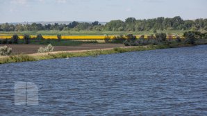 Digurile de protecţie ridicate în raioanele Cantemir şi Cahul i-au scăpat pe oameni de inundaţii. Situaţia din localităţi (FOTOREPORT)