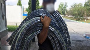 Patru maşini ticsite cu țigări, depistate de câinii Serviciului Vamal (VIDEO)