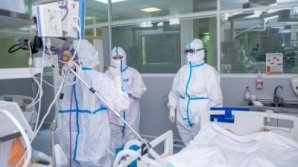  TERAPIE ANTI-COVID CU MĂGARI: Terapia ajută medicii să treacă mai uşor prin pandemie