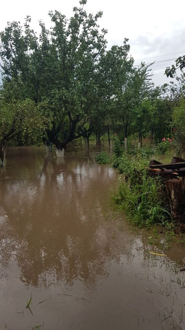 (VIDEO) Mai multe gospodării din Vadul lui Vodă, sub ape. Grădinile oamenilor, inundate în urma precipitaţiilor abundente