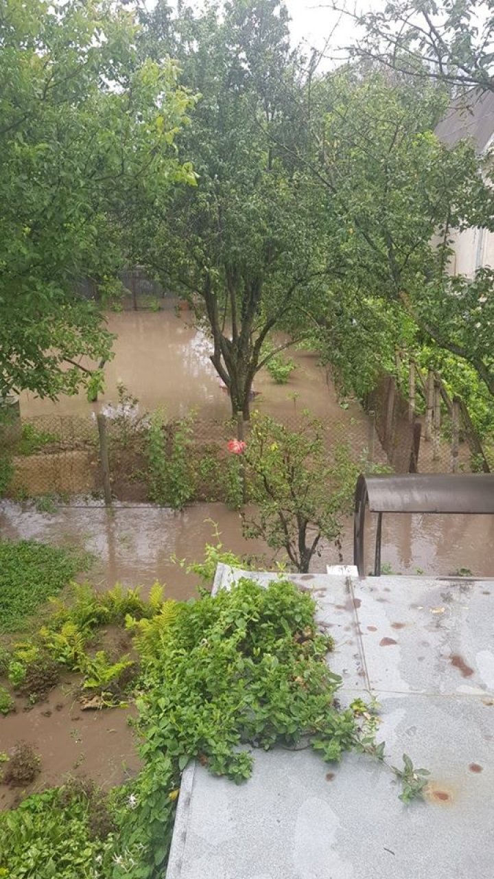 (VIDEO) Mai multe gospodării din Vadul lui Vodă, sub ape. Grădinile oamenilor, inundate în urma precipitaţiilor abundente
