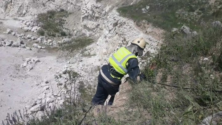 Două capre care s-au pierdut, găsite şi salvate de către salvatori (FOTO/VIDEO)