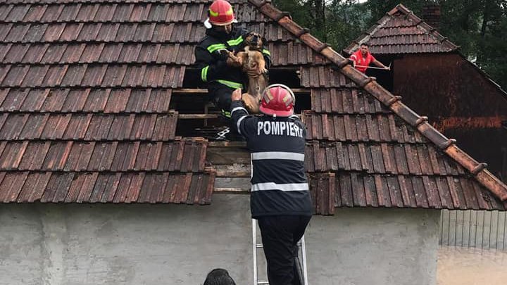 Inundaţii severe în România. 11 localităţi din şase judeţe, afectate de ploi (FOTO)