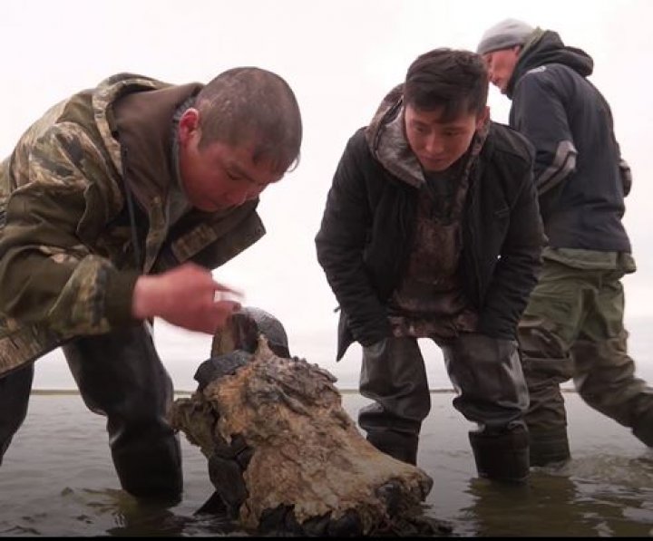 Scheletul unui mamut, găsit într-un lac din Rusia (FOTO)