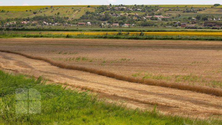 Cum va fi vremea mâine, 10 iulie, şi câte grade vor indica termometrele  