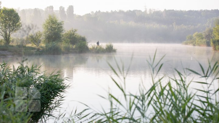 Frumuseţe rară. O lebădă şi puii ei, surprinşi pe lacul de la Porţile Oraşului (FOTOREPORT)