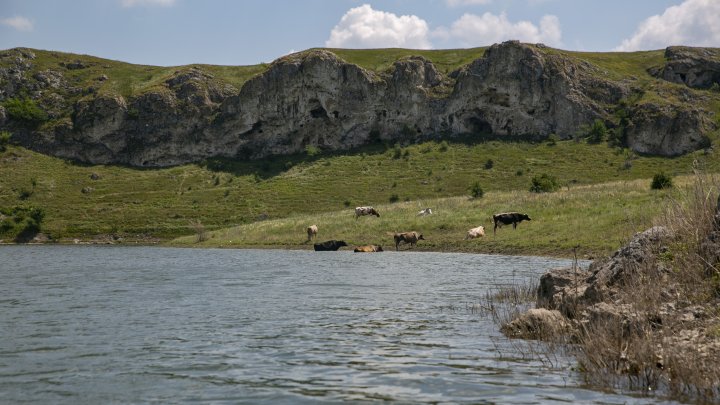 "Marea din Moldova", luată cu asalt de moldoveni. Peisaje din nordul ţării, care te duc cu gândul într-o altă lume (FOTOREPORT) 