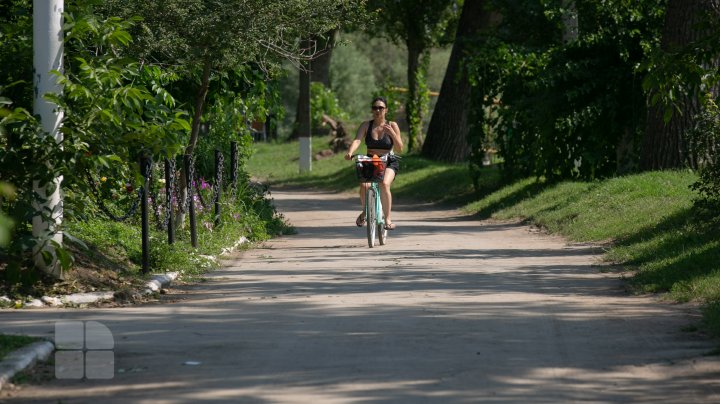 Cât ne costă o zi de odihnă pe plaja de la Vadul lui Vodă (FOTOREPORT)