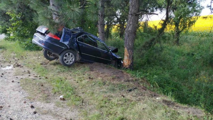 ACCIDENT GRAV în raionul Rîşcani. Un bărbat s-a izbit cu mașina într-un copac (FOTO)