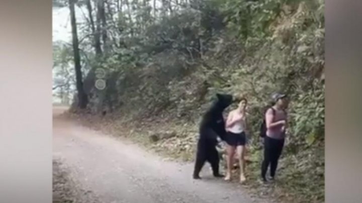 IMAGINI INCREDIBILE. Momentul în care un urs a cuprins o turistă în timp ce aceasta îşi făcea un selfie (VIDEO)