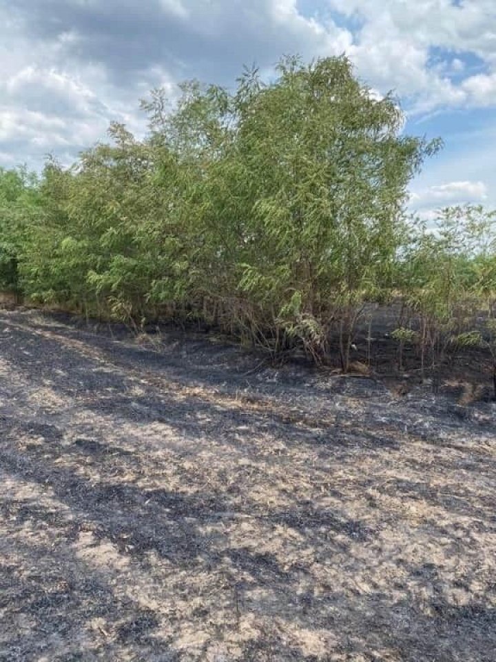 Incendiu violent la Donduşeni. Şapte hectare de grâu au ars (FOTO)