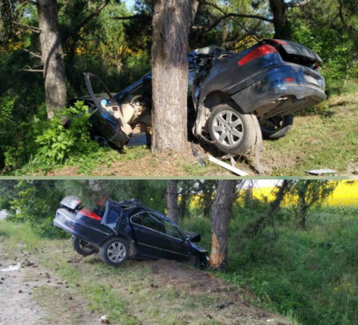 ACCIDENT GRAV în raionul Rîşcani. Un bărbat s-a izbit cu mașina într-un copac (FOTO)