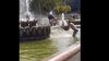 "S-au închis piscinele?": Doi bărbaţi din Capitală au găsit o alternativă pentru a se răcori (VIDEO)