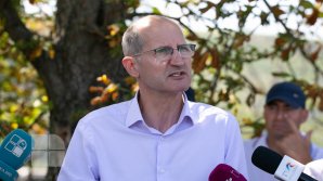 Ministerul Agriculturii a cerut de la Guvern 47 de milioane de lei pentru compensarea pagubelor provocate de grindină