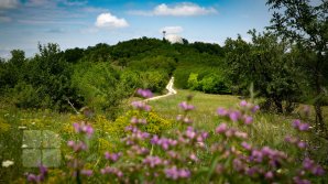 METEO 13 august: Cer variabil și temperaturi fierbinți