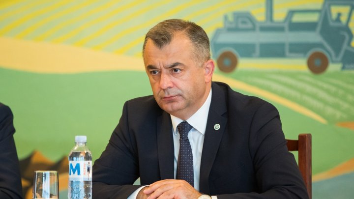 Producerea materialului săditor ar putea fi subvenționată. CHICU: ”Dacă vrem să avem agricultură rezistentă la secetă, trebuie să revigorăm ramura”