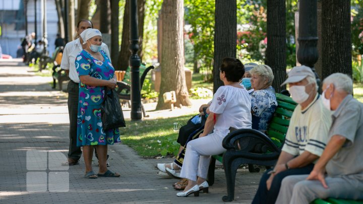 Depuneri de flori la busturile scriitorilor de pe Aleea Clasicilor cu ocazia Zilei Limbii Române (FOTOREPORT)