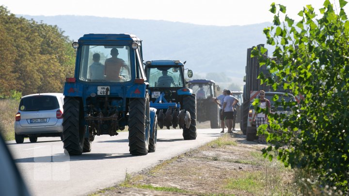 Protestul agricultorilor (FOTOREPORT)