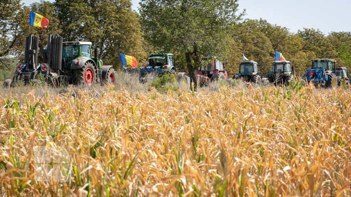 Protestul agricultorilor (FOTOREPORT)