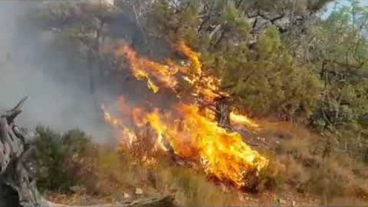 Stare de urgență într-un oraș din Rusia din cauza unui incendiu de vegetație