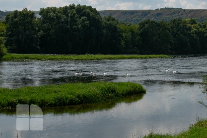 Peisaje de poveste în cel mai nordic punct al țării. Naslavcea, în luna august (FOTOREPORT)