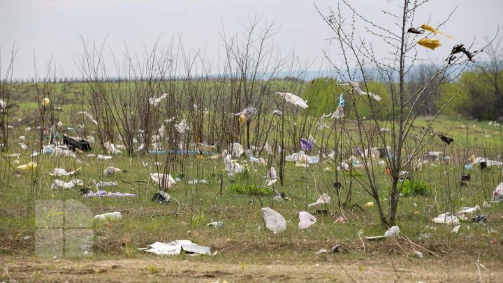 19 august – Ziua Internațională a Fotografiei. Fotografiile realizate de Publika.MD în 2020