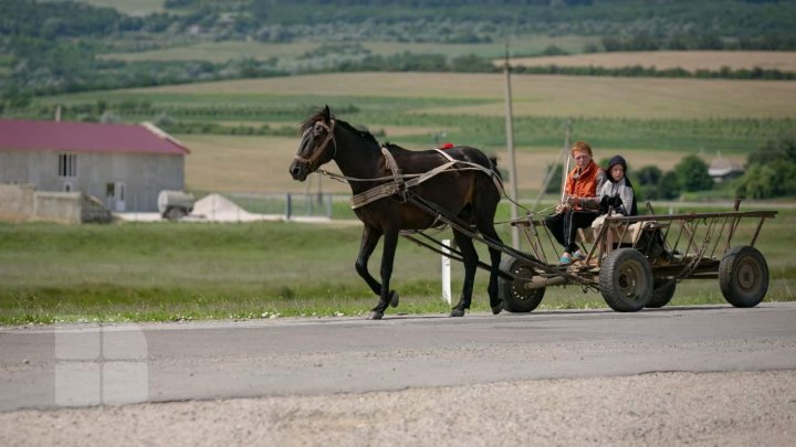 19 august – Ziua Internațională a Fotografiei. Fotografiile realizate de Publika.MD în 2020