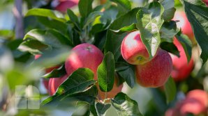 Cum ne va surprinde vremea. Ce temperaturi ne așteaptă duminică