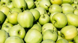 Încă 12 companii din Republica Moldova vor putea relua exporturile către Rusia