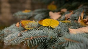 Ce surprize ne pregătește vremea în weekend și câte grade vor indica termometrele