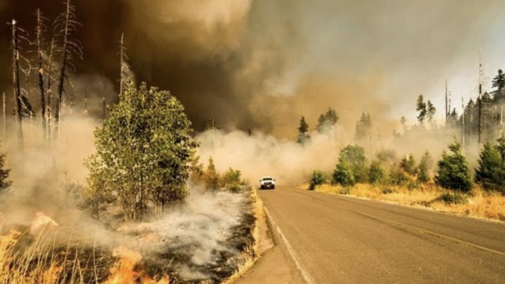 Încă un record. A fost cea mai caldă vară din istorie pentru emisfera nordică