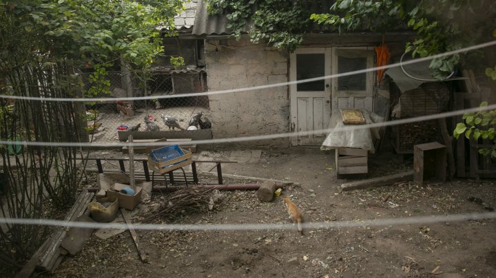 (FOTO) Calvar pentru o locuitoare din Brăneşti. Vecinii au amenajat o crescătorie de păsări sub geamurile apartamentului femeii