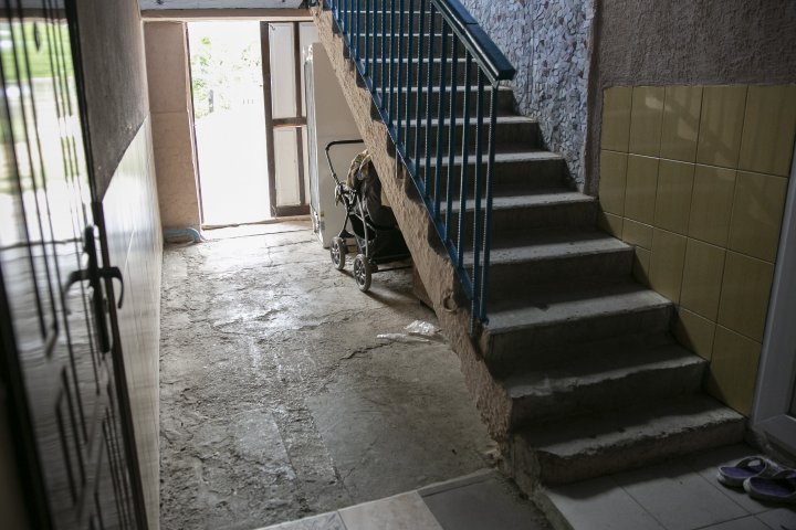 (FOTO) Calvar pentru o locuitoare din Brăneşti. Vecinii au amenajat o crescătorie de păsări sub geamurile apartamentului femeii