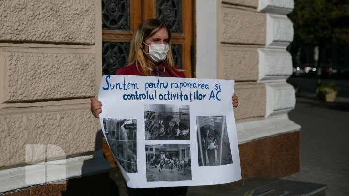 PROTEST la Primărie. Animalele sunt tratate cu cruzime la centrul de sterilizare, susțin activiștii (FOTOREPORT)