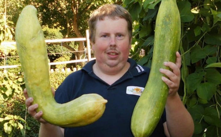 Un grădinar a stabilit un nou record mondial după ce a cultivat legume uriaşe (FOTO)