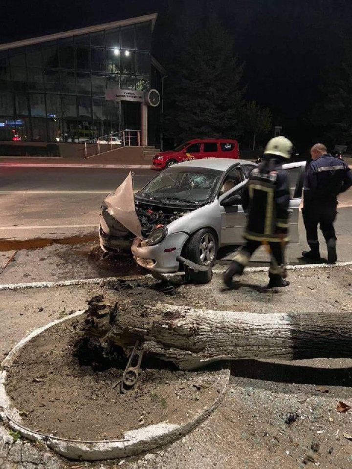 Un șofer care circula cu viteză a făcut PRĂPĂD la Hîncești. A doborât cu maşina un copac și a fugit (FOTO)