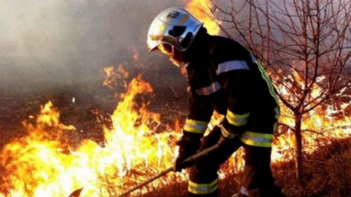 California: Sute de case, evacuate după izbucnirea unui nou incendiu de vegetaţie