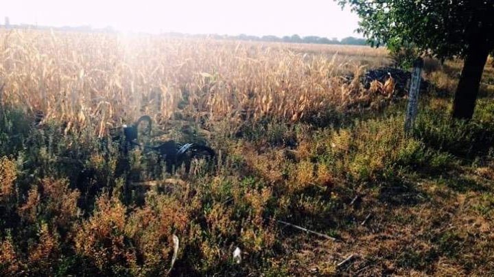 Tragedie la Dubăsari. Un biciclist, LOVIT MORTAL de o mașină (FOTO)