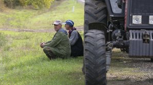 Moldova va împrumuta bani ca să acorde credite agricultorilor din țara noastră 