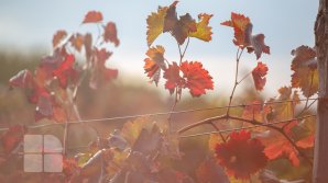 Cer variabil şi temperaturi de toamnă. Câte grade vor indica termometrele