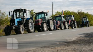 Agricultorii ameninţă cu proteste la ANRE şi Consiliul Concurenţei. Ce i-a nemulţumit