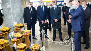 Producerea semințelor va fi protejată de stat, iar tinerii cercetărori vor primi indemnizații unice, la fel ca medicii și pedagogii