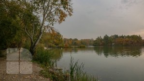 Meteo 11 noiembrie 2020: Cer variabil și vreme frumoasă în toată țara