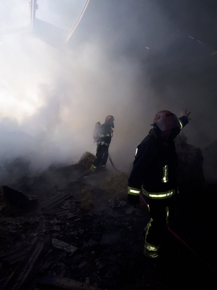 Incendiu de proporții la Bălțata. Un depozit cu nutrețuri pentru iepuri, cuprins de flăcări (FOTO)