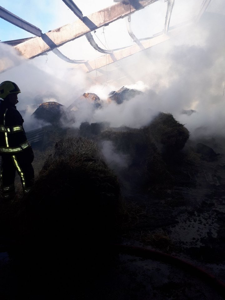 Incendiu de proporții la Bălțata. Un depozit cu nutrețuri pentru iepuri, cuprins de flăcări (FOTO)