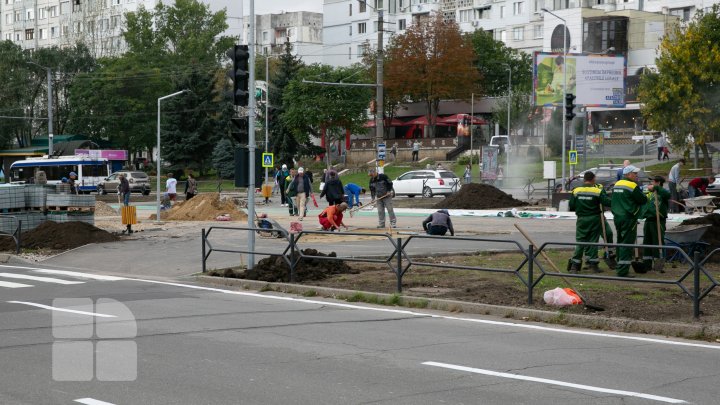 aleea de pe bulevardul Mircea cel Bătrân (FOTOREPORT)