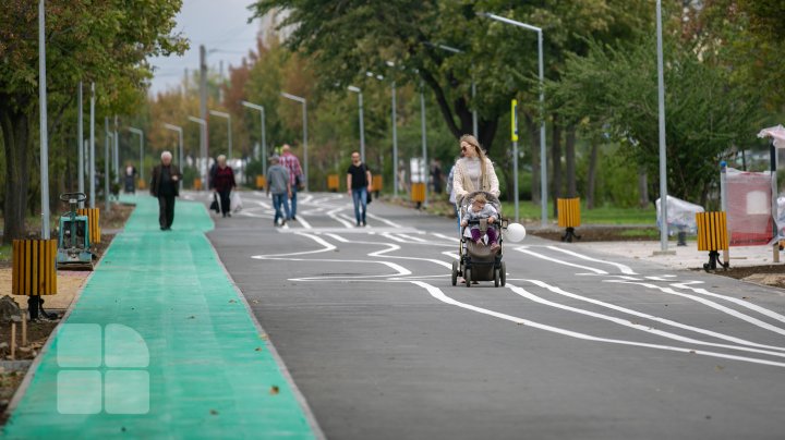 aleea de pe bulevardul Mircea cel Bătrân (FOTOREPORT)