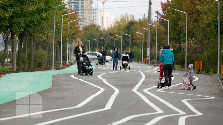 aleea de pe bulevardul Mircea cel Bătrân (FOTOREPORT)